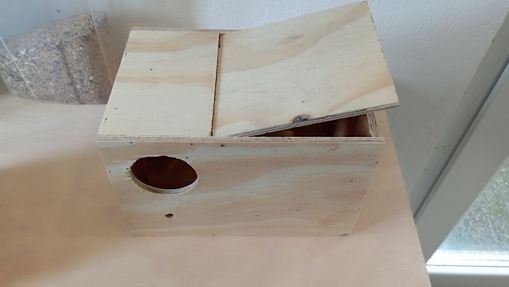 4 Ninhos Agapornis novos