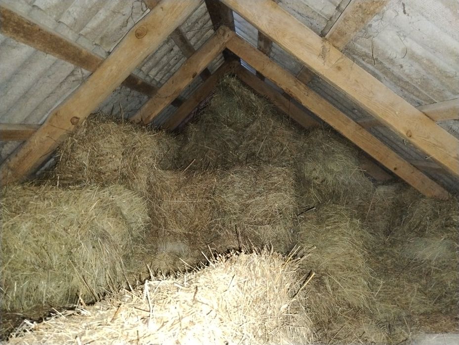 Продам тюки сіно-солома