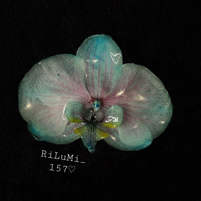 ręcznie robione spinki do włosów ze Storczyków