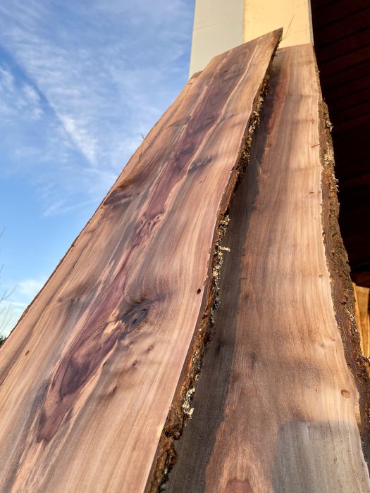 Nogueiro portugues. Pranchas de madeira.