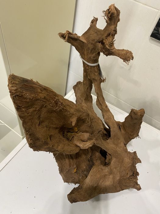 Корень коряга корч пень дерево Мангр с Малайзии