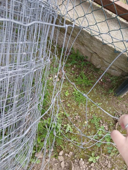 2 Rolos de rede ovelheira