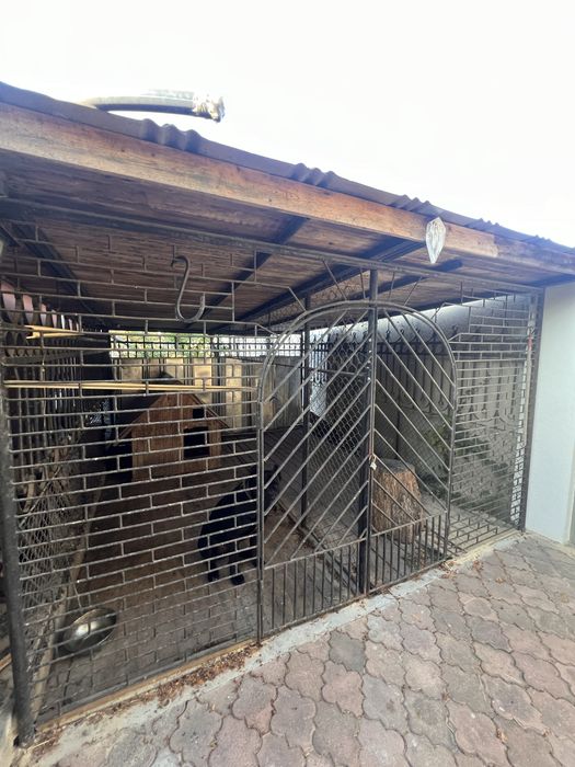 Укопмплектований будинок 260 кв.м з басейном