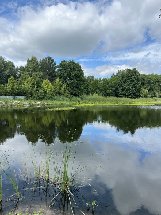 Кийлів. Ділянка з власним виходом на р.Дніпро!
