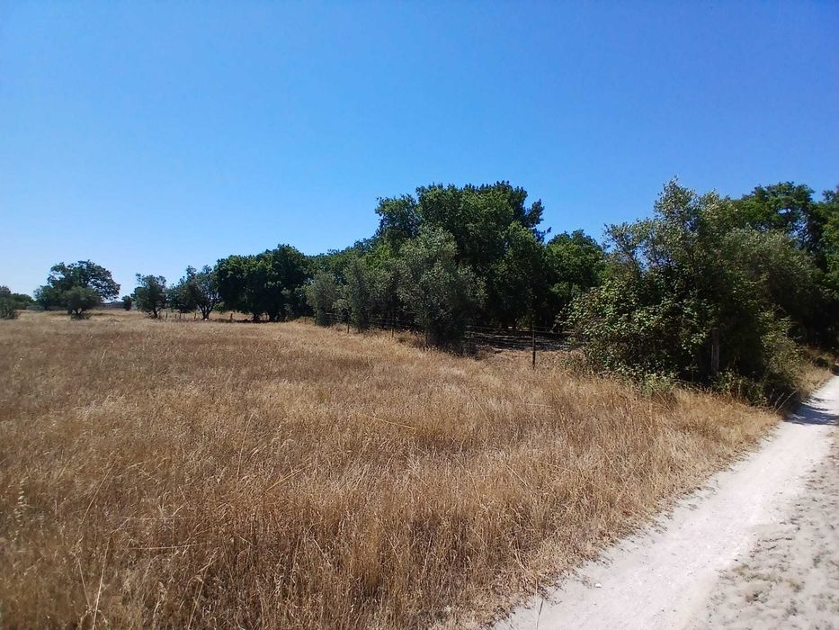 Terreno para venda em Vale de Santarém com construção iniciada