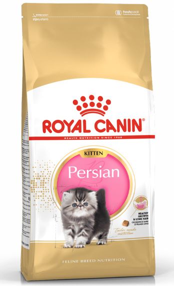 Royal Canin persa