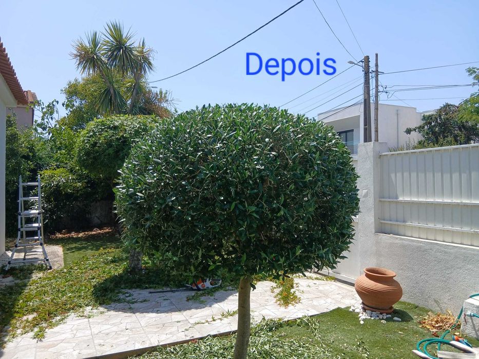 Manutenção de jardins e limpeza de terrenos - Preços acessíveis