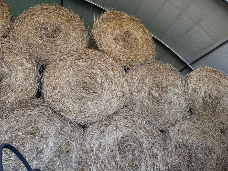 Baloty 120 ze zbóż ozimych