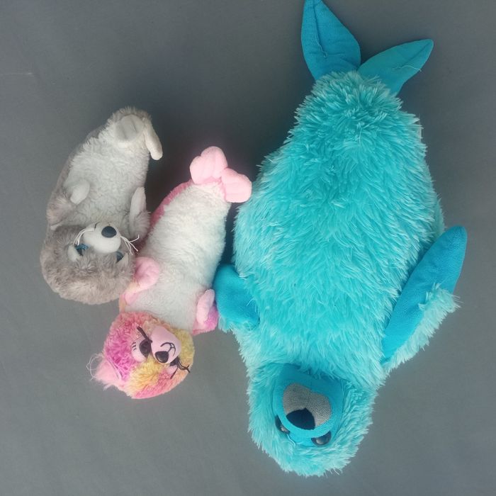 Foka  rodzina rok foczek 3 foki