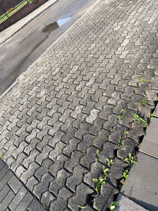 Kostka za darmo 15 m2