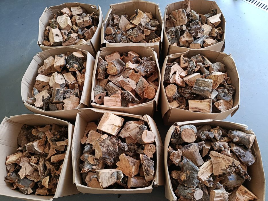 Jabłoń do wędzenia