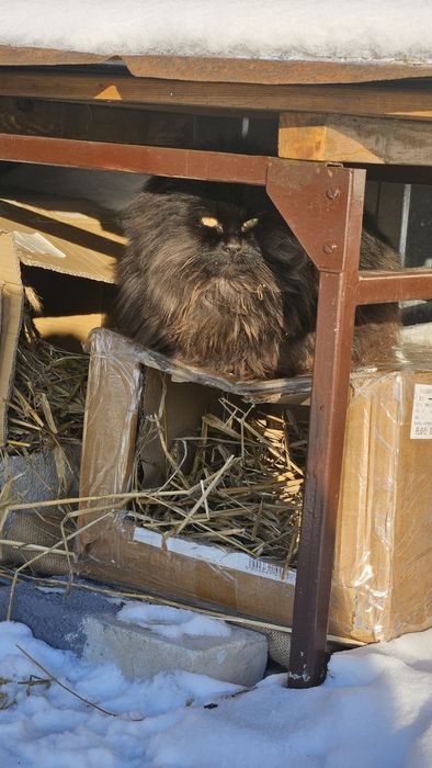 Podaruj dom cudownej Noe