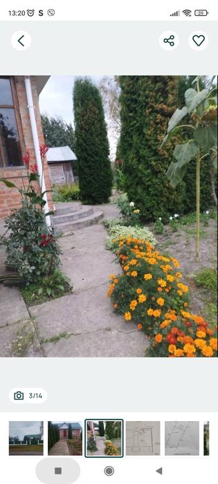 Будинок під лісом біля р Десна. Село Оболоння Н-Сівер р-н (Коропський)