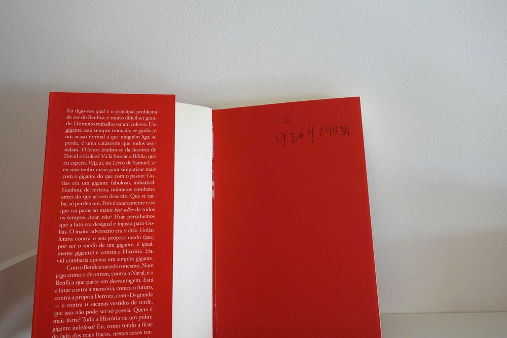 Livro A Chama Imensa de Ricardo Araújo Pereira incl. envio