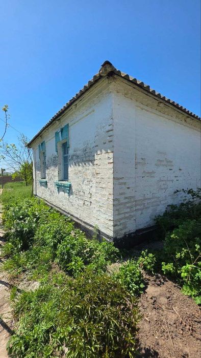 Продаж окремого будинку в с. Скребиші , що за 16 км від Білої Церкви