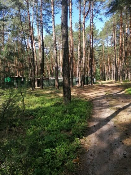 Sprzedam Działkę