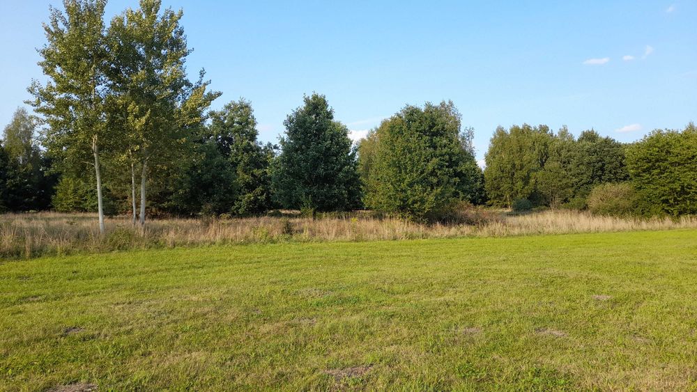 2448m2 cała BUDOWLANA, piękna okolica, LASY, 48km od Warszawy