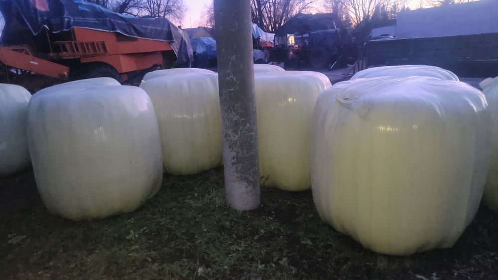 Sianokiszonka tam to roczna