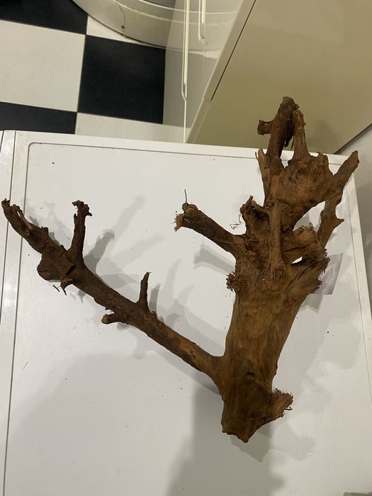 Коряга корч корень Мангровое дерево Малайзия