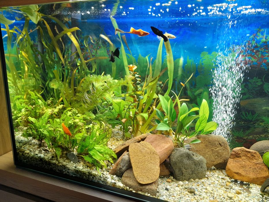 Oświetlenie akwarium Lampa LED 1m 95cm