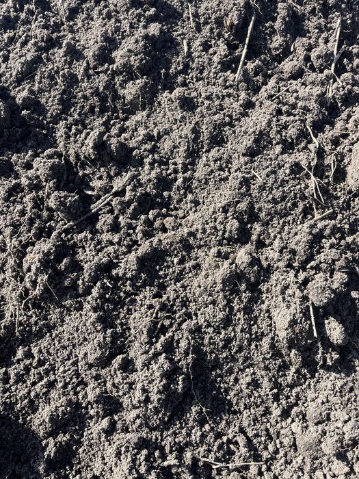 Ziemia ogrodowa torfowa czarnoziem  ziemia przesiewana duże ilości