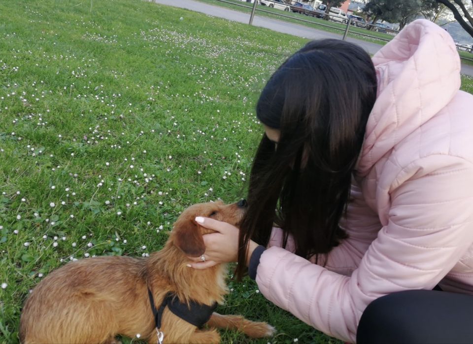 PetSitting, zona de Lisboa