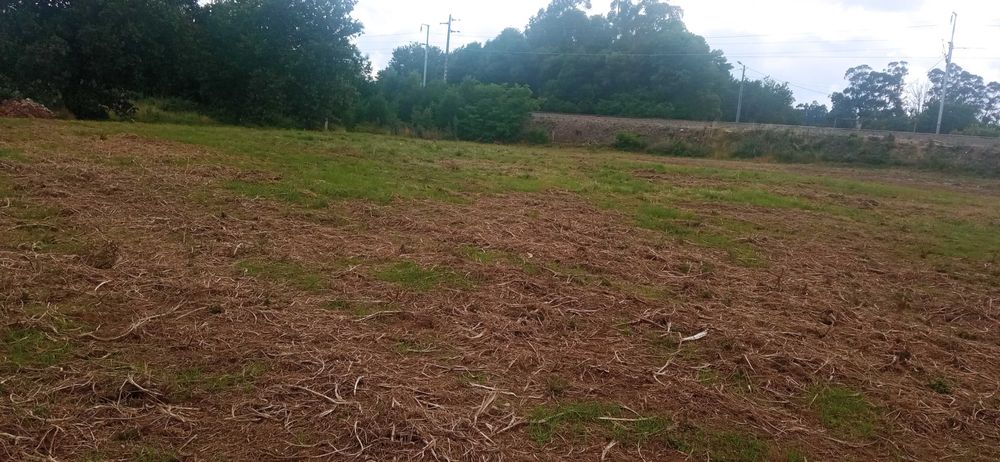 Terreno para construção em Cristelo-covo