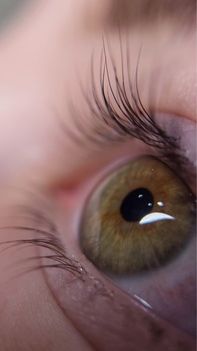 КУРС ЛАМІНУВАННЯ БРІВ ТА ВІЙ 6 годин / 1 день / 3000 грн