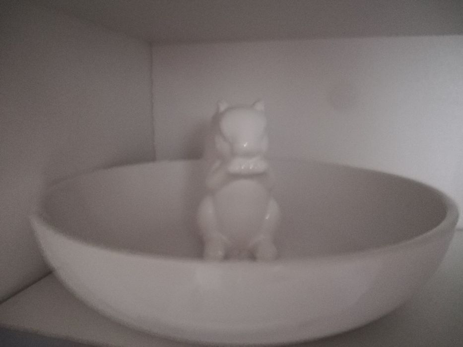 Prato com esquilo437357189667246081