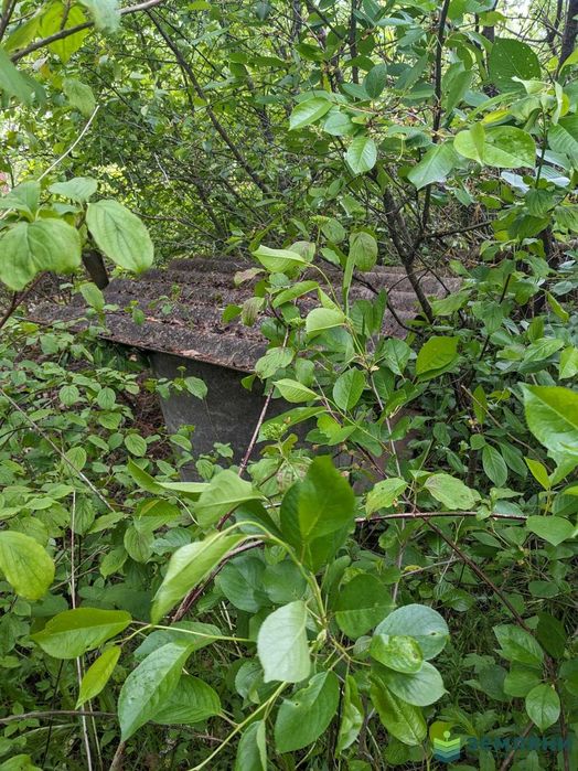Продається ділянка 4.9 сот в СТ Буровик (1)