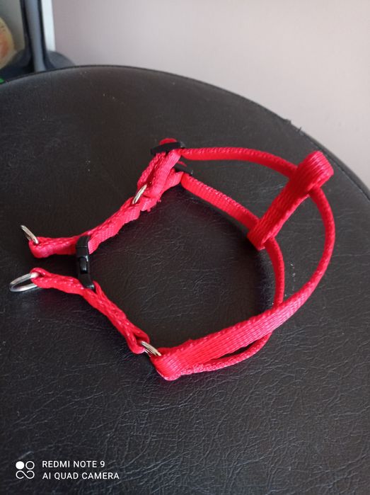 Szelki dla malutkiego szczeniaka lub małego kota.