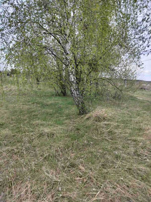 House in Yasnohorodka - View 5