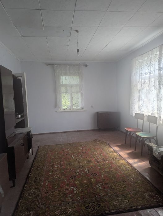 Продам будинок в мальовничому селі