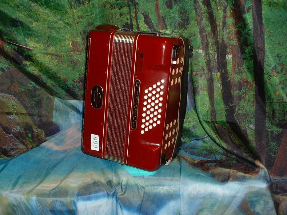 Promoção de Acordeões de concertinas