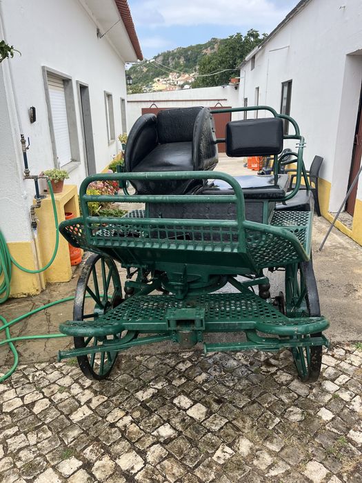 Vendo maratona competicao e passeio