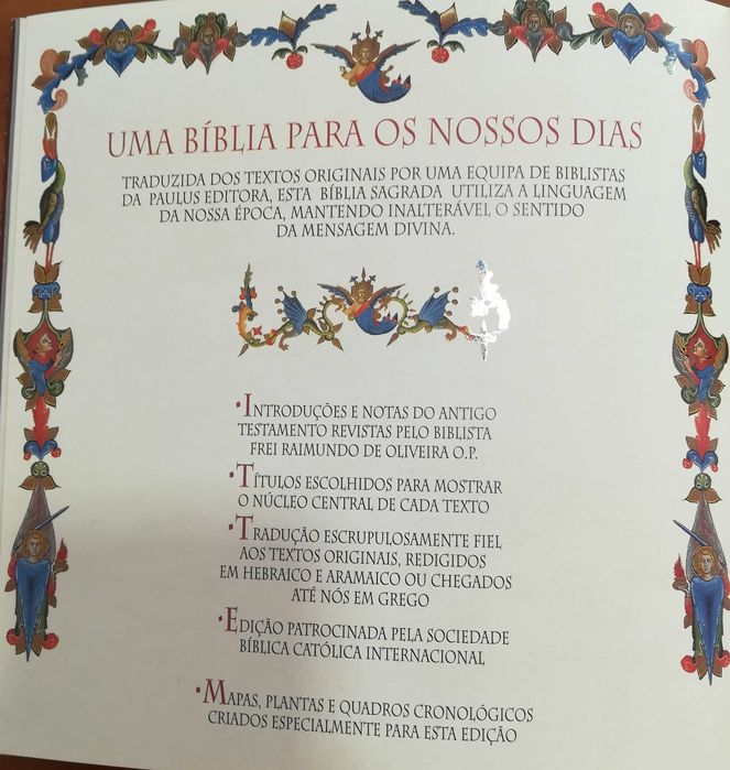 Bíblia Sagrada  Uma obra de arte única