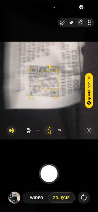 Nike SB low retro