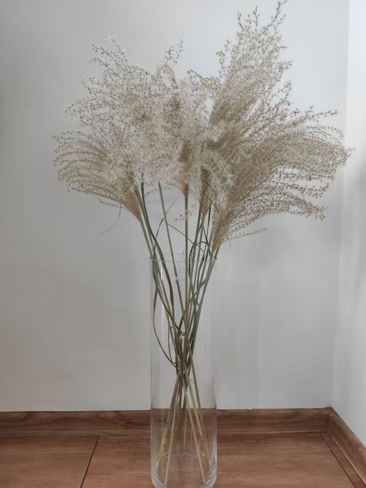 Trawy naturalne, ozdobne, styl boho 10 szt