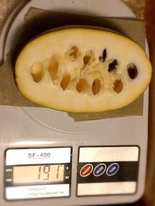 Азиміна Asimina обмін на Горіхи Фундуки  Пекани