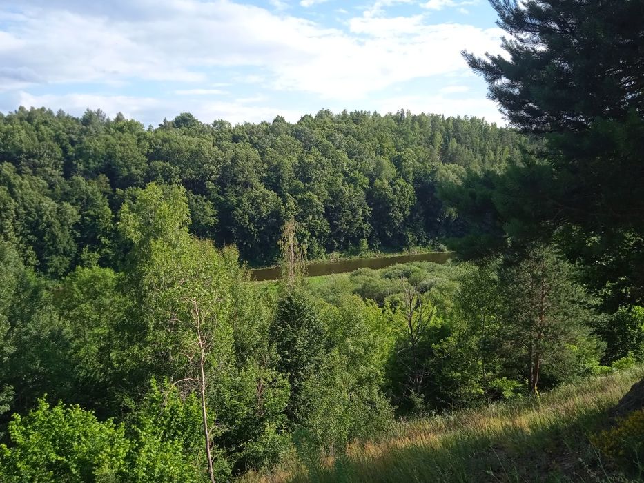 Оренда приміщень