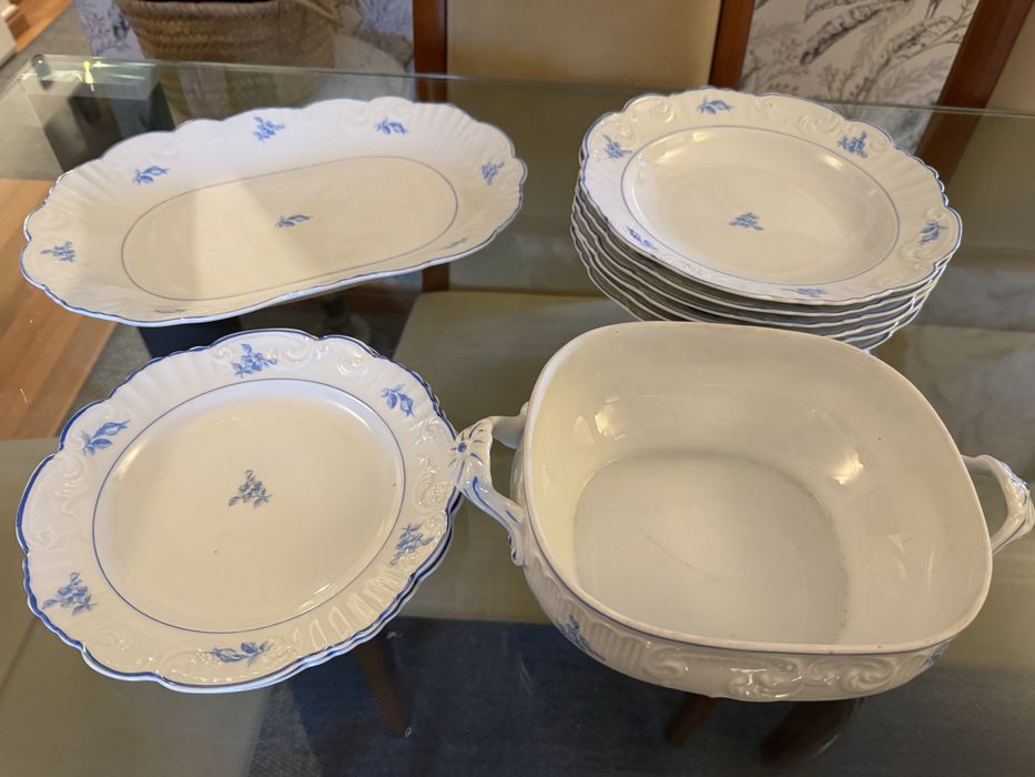 Conjunto loica Vista Alegre