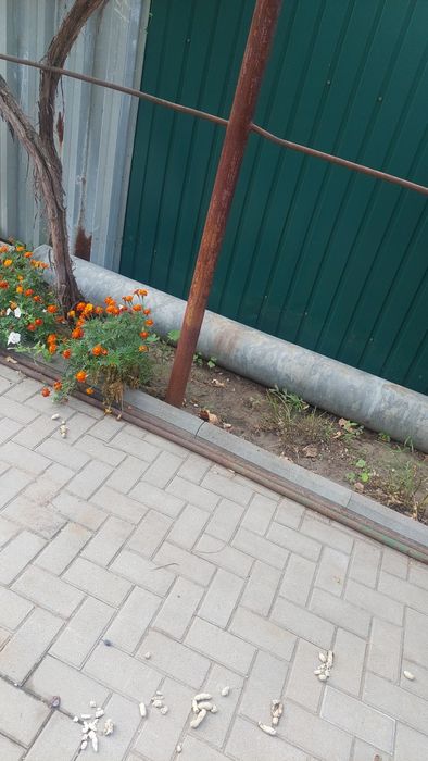 Продам трубы  металлические.
