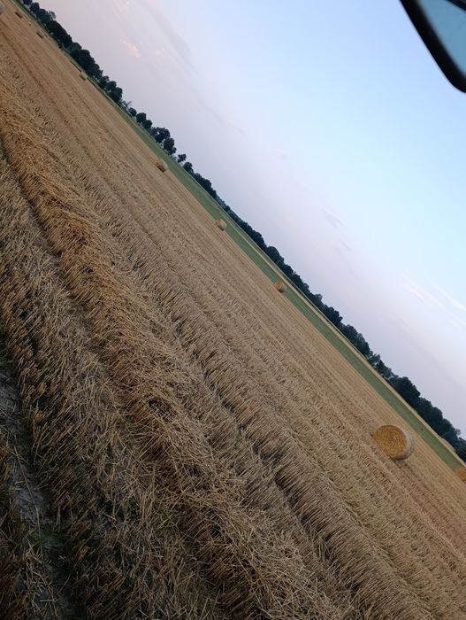 Słoma z 2026 baloty 120