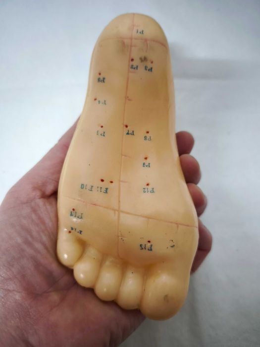 MTC - figura microssistema do pé