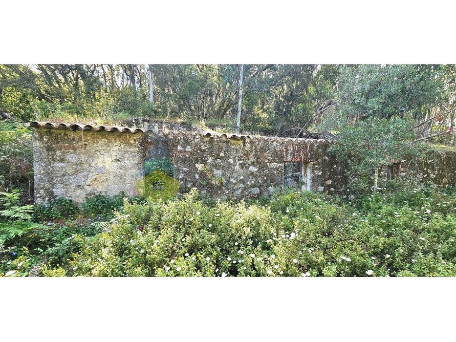 Quinta no Concelho de Monchique, Marmelete, com casa anterior a 195...