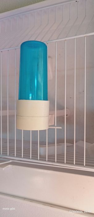 Gaiola para pássaros nova