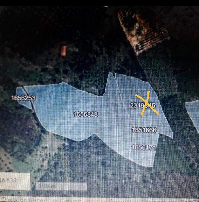 Casal da Charneca 6300m2 terreno plantação de eucaliptos