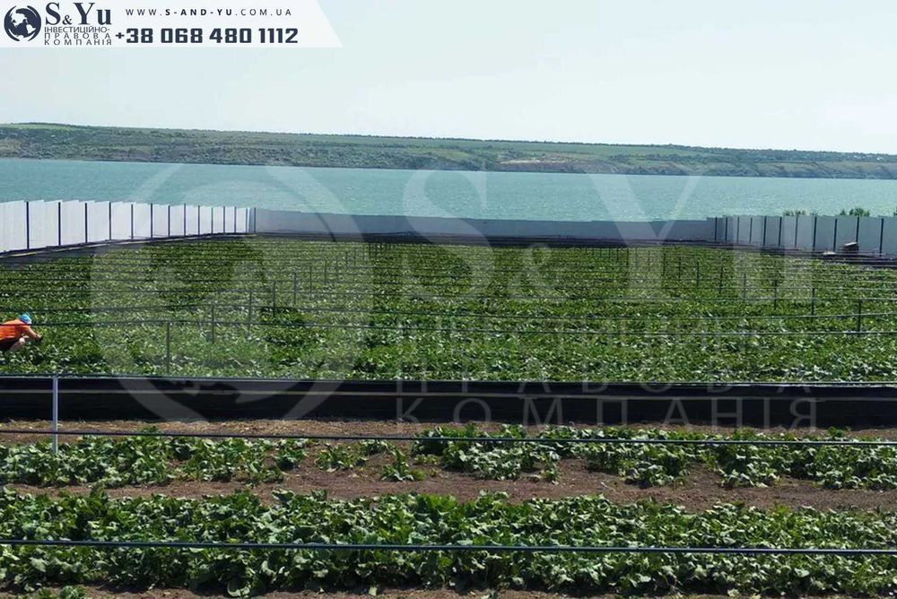Продаж багатофункціонального комплексу (уліточна ферма)