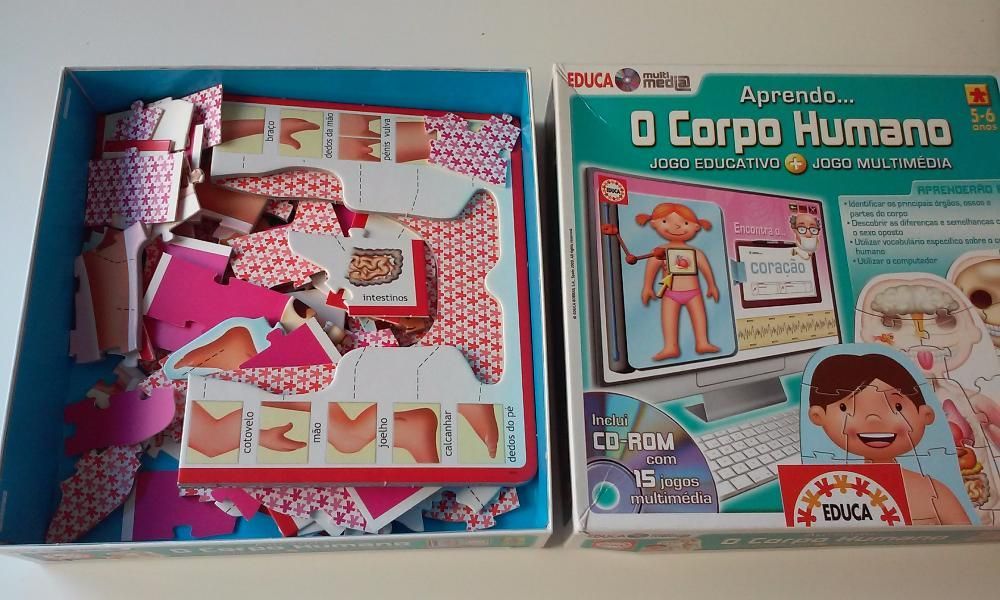 Jogo O Corpo Humano