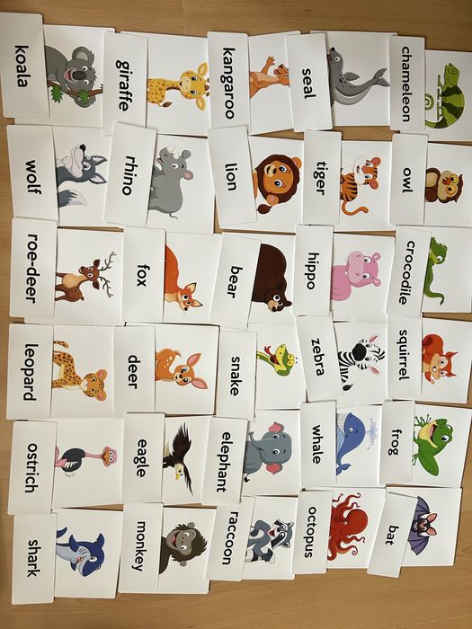 Karty obrazkowe angielski flashcards zwierzęta w lesie i safari